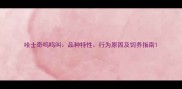 哈士奇呜呜叫品种特性行为原因及饲养指南