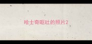 哈士奇呕吐的照片
