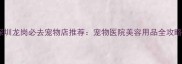深圳龙岗必去宠物店推荐宠物医院美容用品全攻略