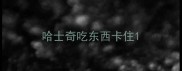 哈士奇吃东西卡住