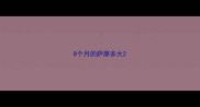 8个月的萨摩多大