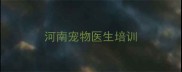 河南宠物医生培训