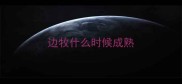边牧什么时候成熟