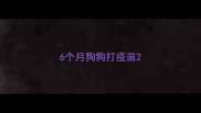 6个月狗狗打疫苗