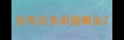 拉布拉多前腿螨虫