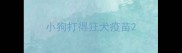 小狗打得狂犬疫苗