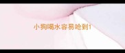 小狗喝水容易呛到