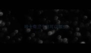 哈士奇三个月可以散步