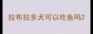 拉布拉多犬可以吃鱼吗