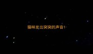 猫咪发出突突的声音