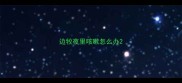 边牧夜里咳嗽怎么办