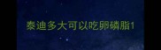 泰迪多大可以吃卵磷脂