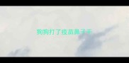 狗狗打了疫苗鼻子干
