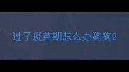 过了疫苗期怎么办狗狗