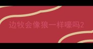 边牧会像狼一样嚎吗