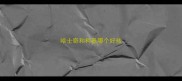 哈士奇和柯基哪个好些
