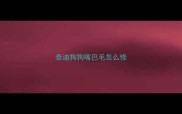 泰迪狗狗嘴巴毛怎么修