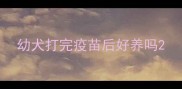 幼犬打完疫苗后好养吗