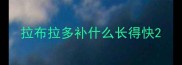 拉布拉多补什么长得快