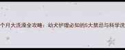 哈士奇2个月大洗澡全攻略幼犬护理必知的5大禁忌与科学洗护指南