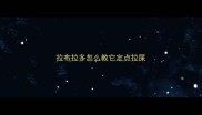 拉布拉多怎么教它定点拉屎