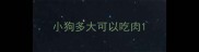 小狗多大可以吃肉