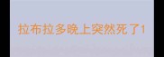 拉布拉多晚上突然死了