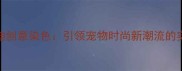 白色泰迪创意染色引领宠物时尚新潮流的实用指南