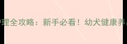 哈士奇满月期护理全攻略新手必看幼犬健康养出Samoyed模板