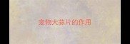 宠物大蒜片的作用