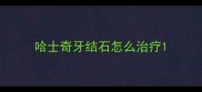 哈士奇牙结石怎么治疗