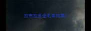拉布拉多金毛串纯黑