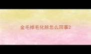 金毛掉毛化脓怎么回事
