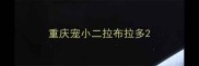 重庆宠小二拉布拉多