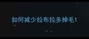 如何减少拉布拉多掉毛