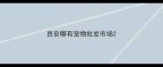 西安哪有宠物批发市场