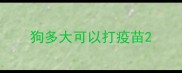狗多大可以打疫苗
