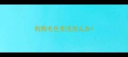 狗狗毛色变浅怎么办
