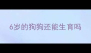 6岁的狗狗还能生育吗