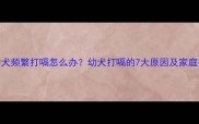 3个月大幼犬频繁打嗝怎么办幼犬打嗝的7大原因及家庭护理指南