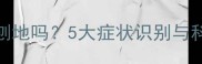 狗狗假孕会刨地吗5大症状识别与科学应对指南