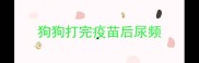 狗狗打完疫苗后尿频