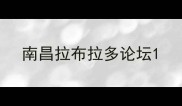 南昌拉布拉多论坛