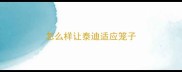 怎么样让泰迪适应笼子