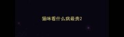 猫咪看什么病最贵