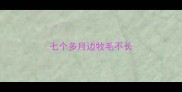 七个多月边牧毛不长