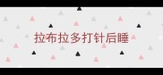 拉布拉多打针后睡