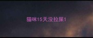 猫咪15天没拉屎