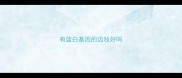 有蓝白基因的边牧好吗