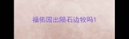 福佑园出陨石边牧吗